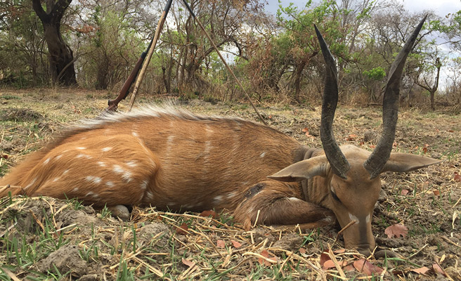 Zambia-115