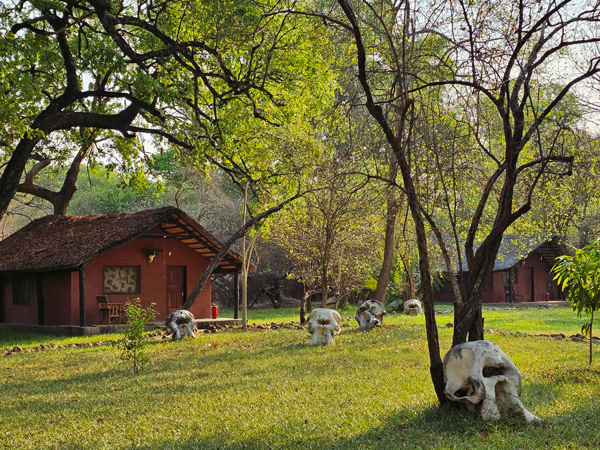 zambia safari hunting